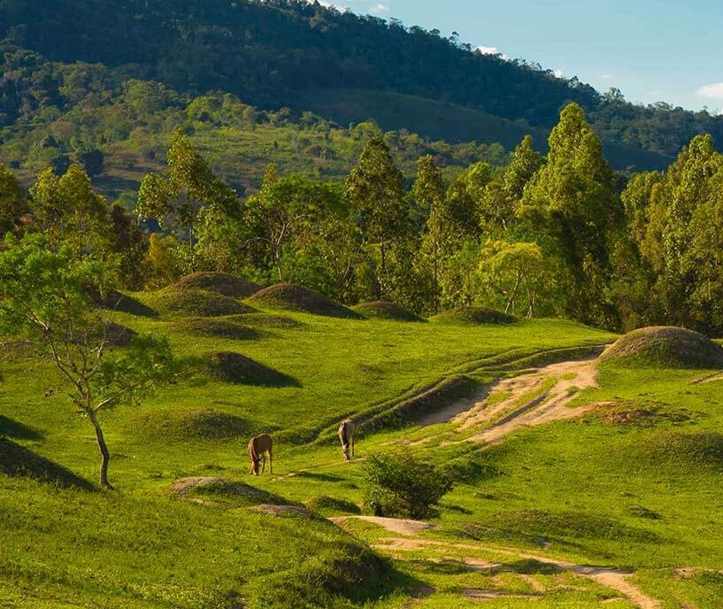 Caminhos do Sudoeste